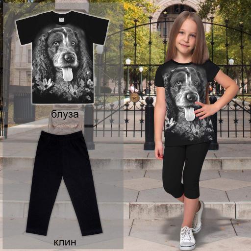 Комбинация 2 части (б/к) Кокер шпаньол в черно