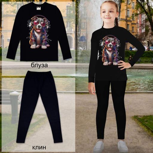 Комплект 2 части (б/к) Питбул в черно