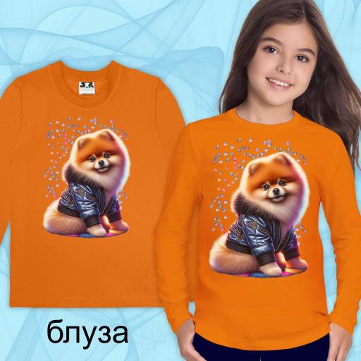 Блуза тънка с Померан в оранжево