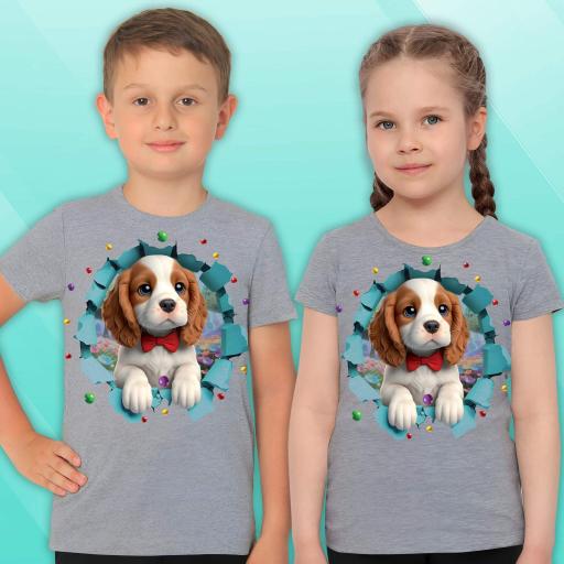 Тениска с Кавалер Кинг в сиво