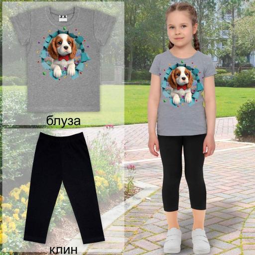 Комбинация 2 части (б/к) с Кавалер Кинг в сиво