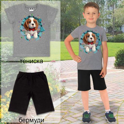 Комбинация 2 части (т/б) с Кавалер Кинг в сиво