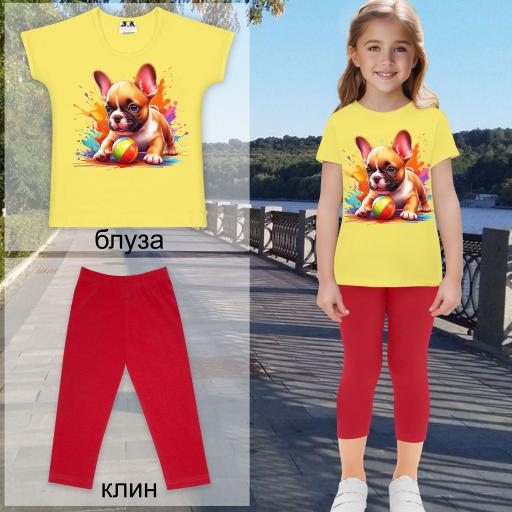 Комбинация 2 части (б/к) Френски булдог в жълто