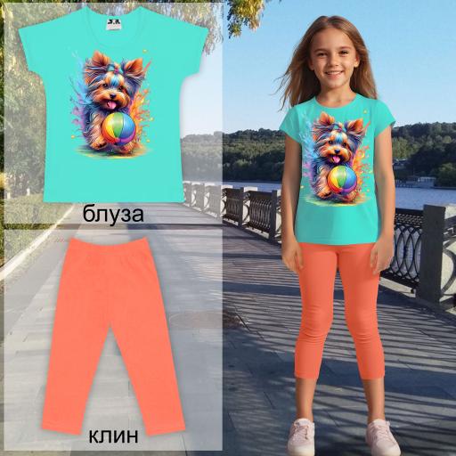 Комбинация 2 части (б/к) Йорки с топка в мента