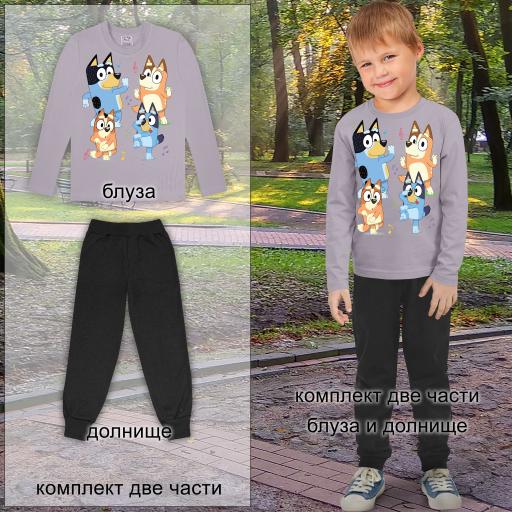 Комплект 2 части (б/д) Блуи в сиво