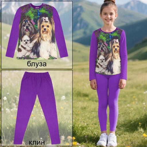 Виолетова блуза с йоркита и лилав клин – комплект за кучешки фенове