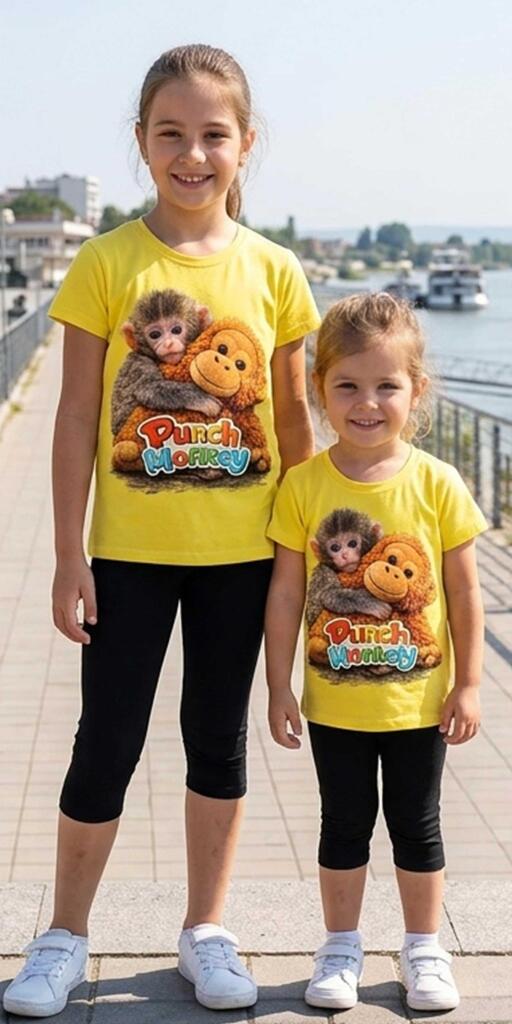 Комбинация 2 части (т/к) Маймунката Пънч