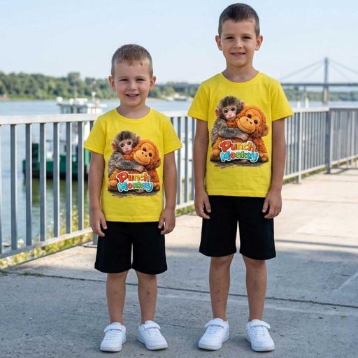 Маймунката Пънч – приятел за всяко приключение